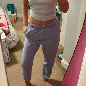 Zara Lilac Fleece-Lined Jogger Pants